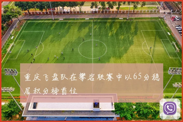 重庆飞盘队在攀岩联赛中以65分稳居积分榜首位
